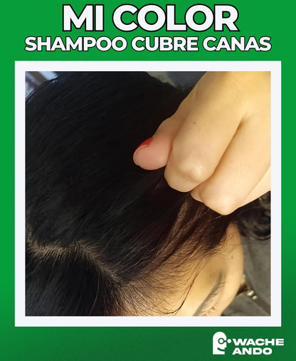 SHAMPOO CUBRE CANAS MI COLOR